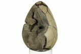 Septarian Dragon Egg Geode #227504-1